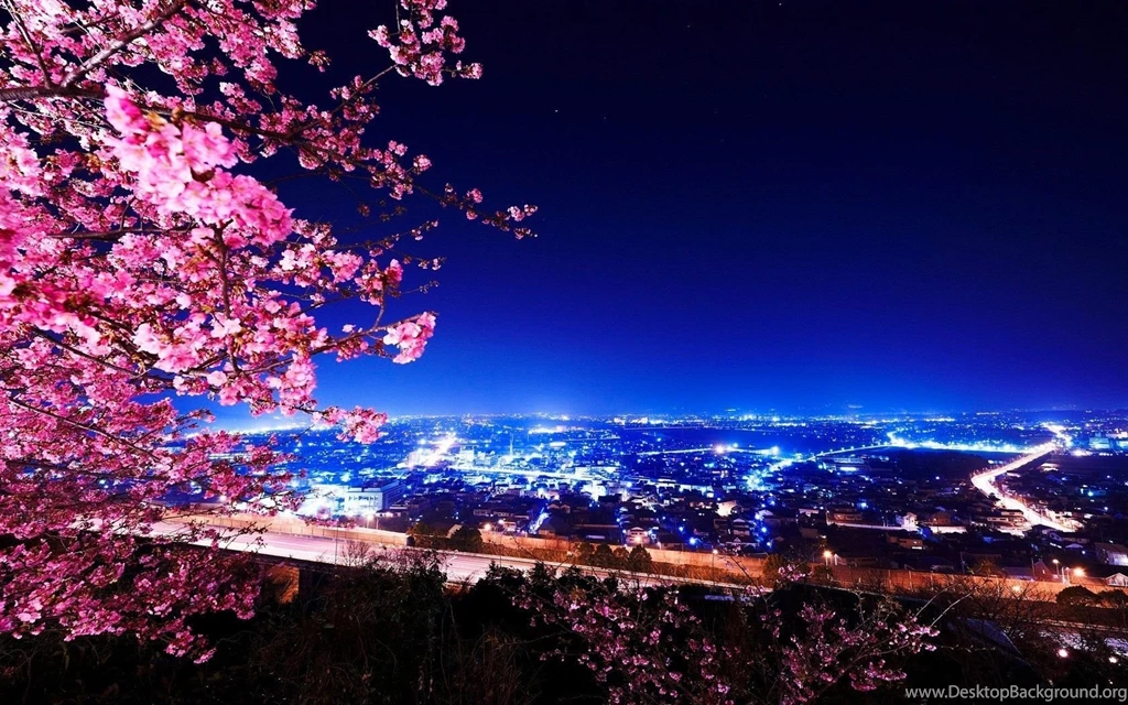 Beautiful City View At Night