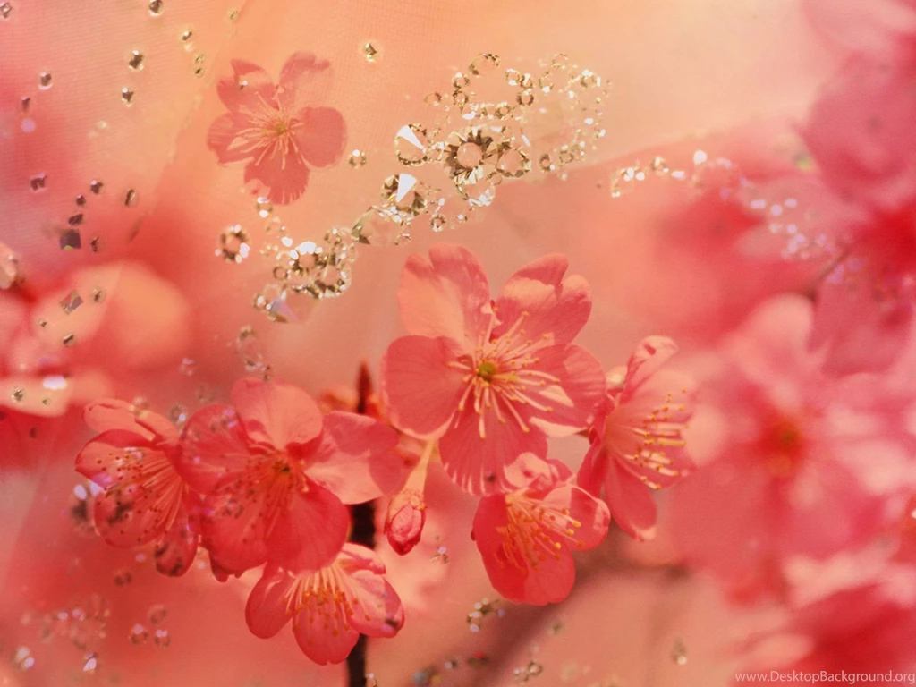 Grey And Pink Wallpapers