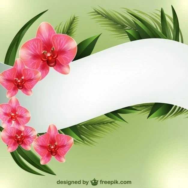 Backgrounds Template With Orchids Vector