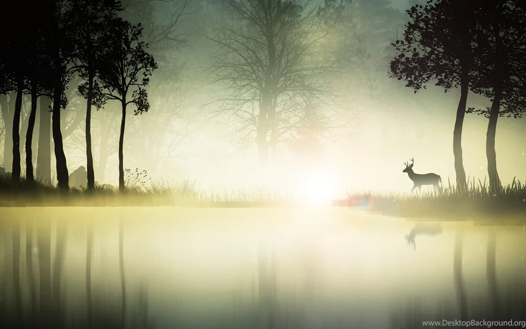 Mystic Forest Wallpapers