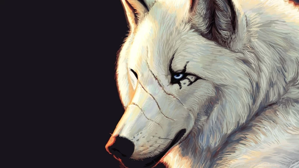 Wolf Wallpapers Desktop