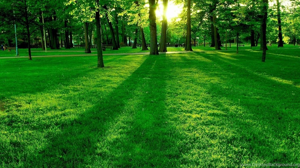 Summer Green Nature Wallpapers 1600 1200 Hd Desktop Wallpapers ...