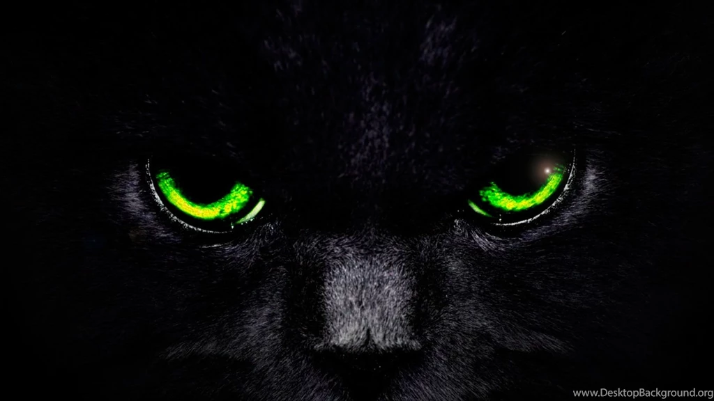 CAT EYES WALLPAPER
