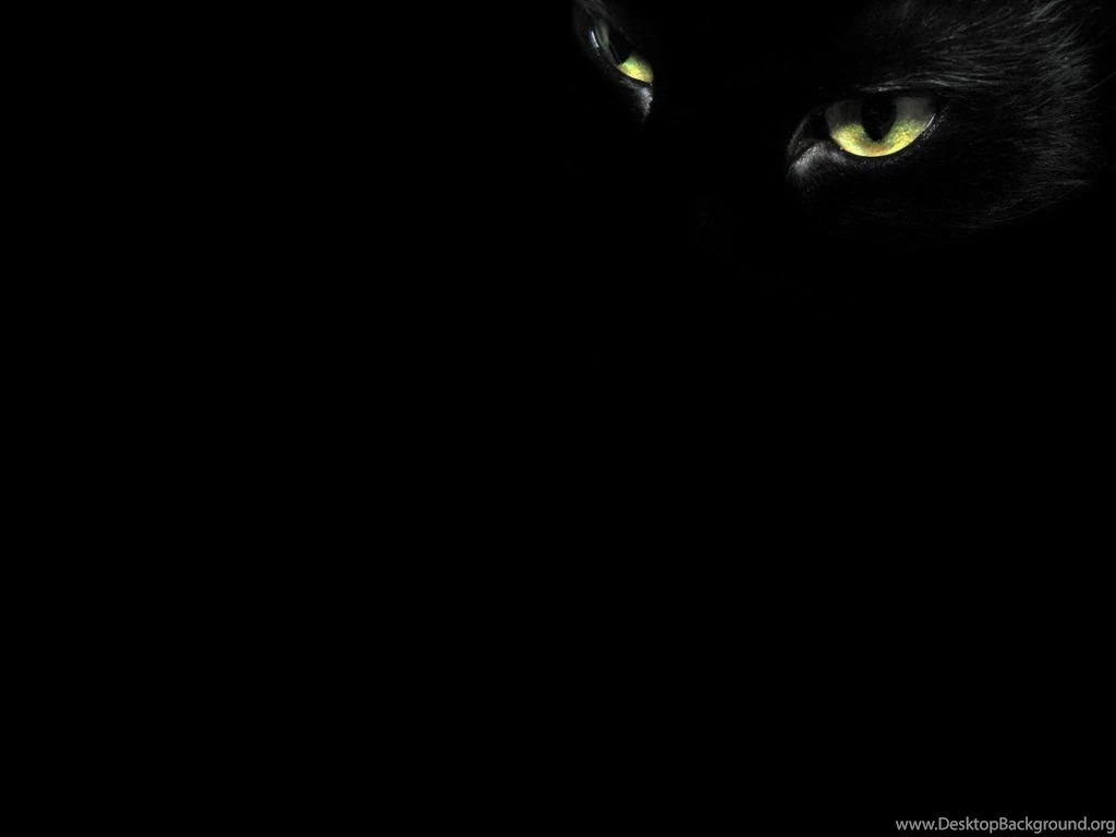 Black_cat_eyes_wallpaper_2 normal.jpg