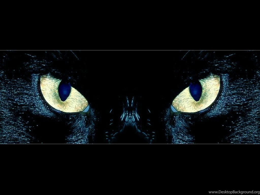 Glowing Cat Eyes By O Chir On DeviantArt