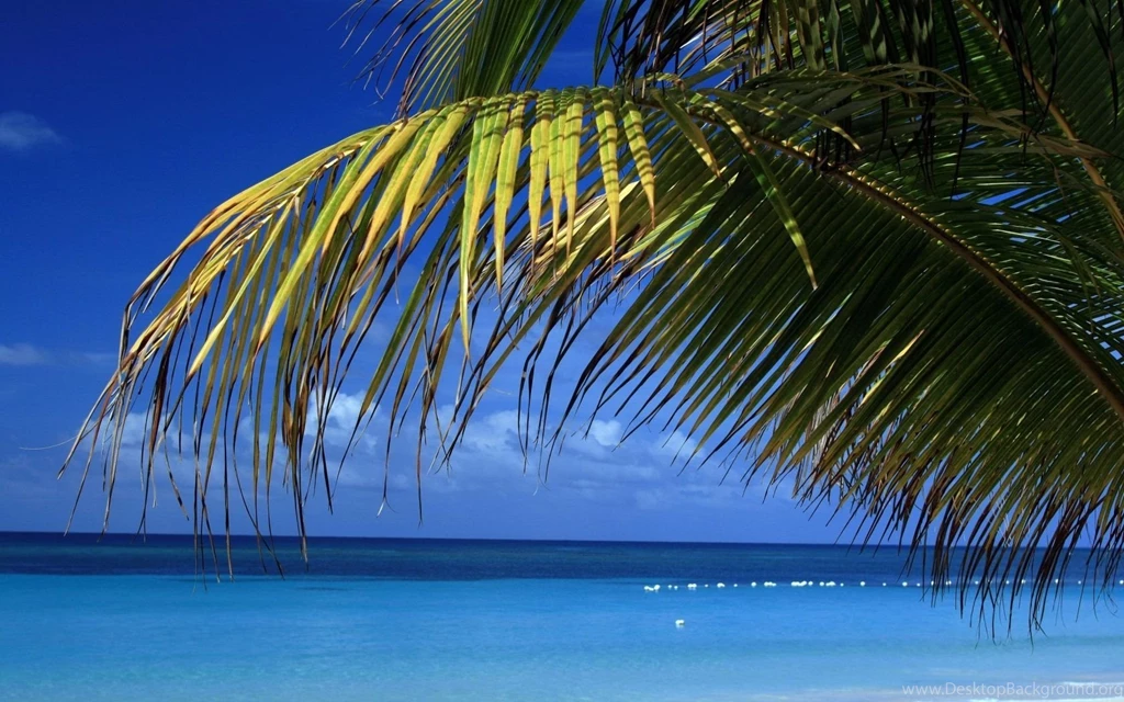 Calm Beach Wallpapers