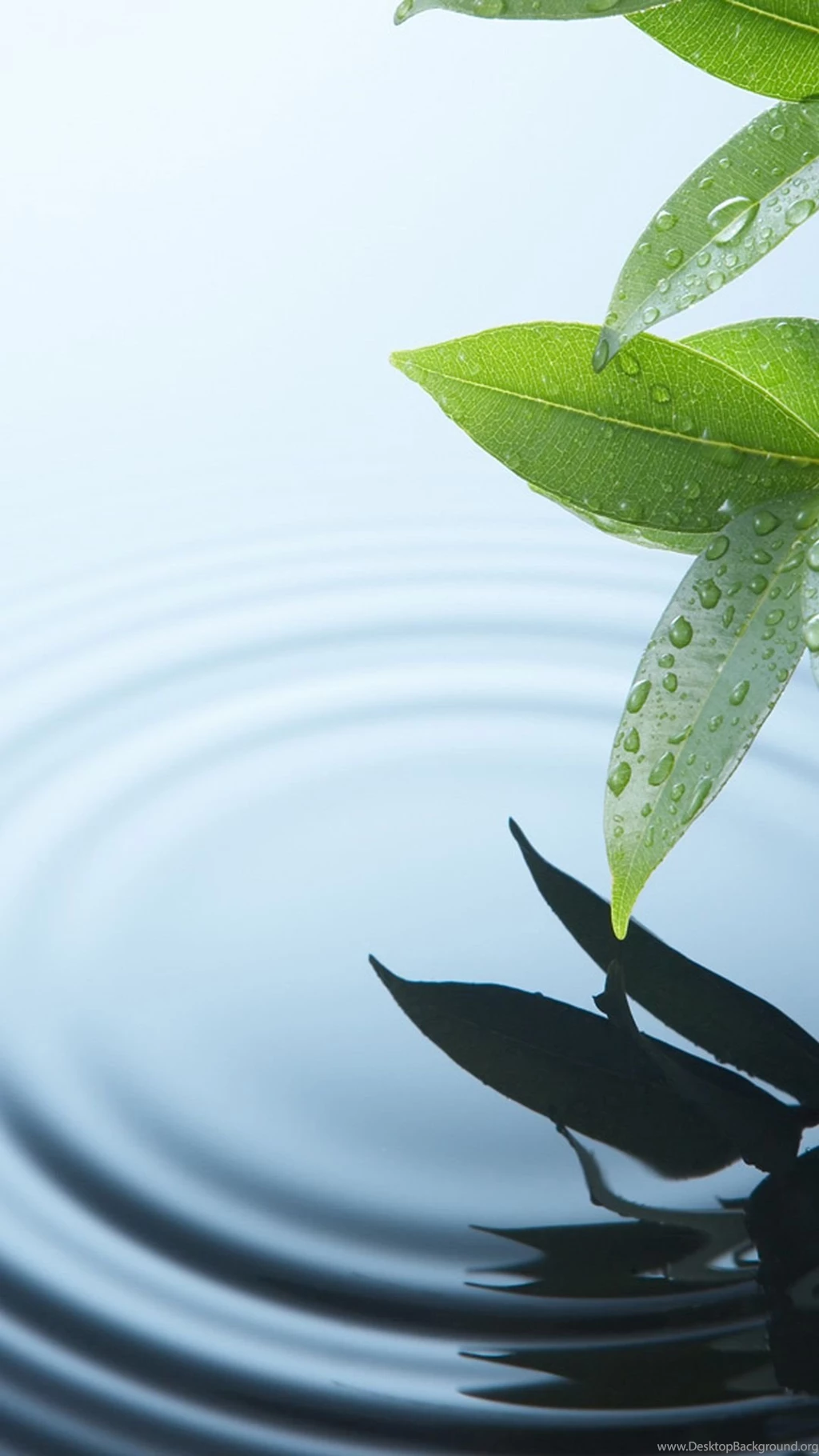 HD Wallpapers For Mobile Samsung Galaxy S5