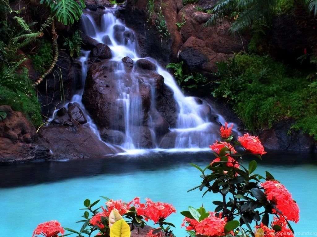 Real Waterfalls Wallpapers HD Pictures Wallpapers