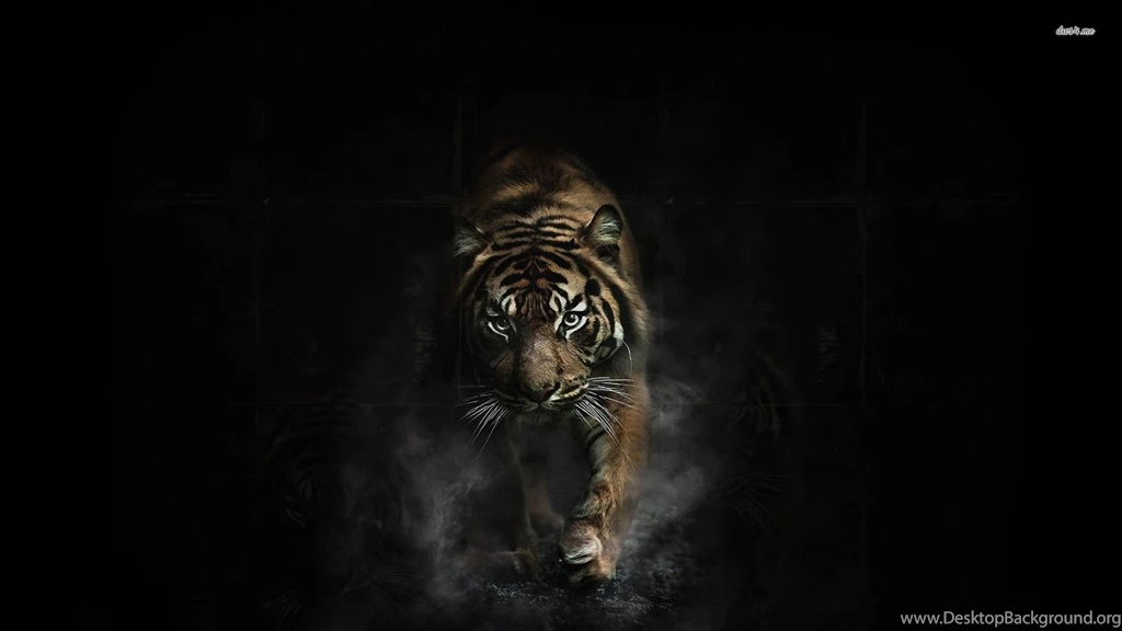 Tiger In The Shadows Wallpapers   Digital Art Wallpapers