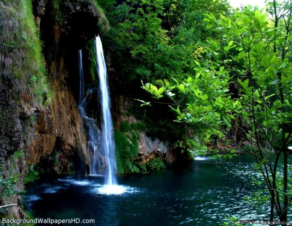 Wallpapers Waterfall Forest