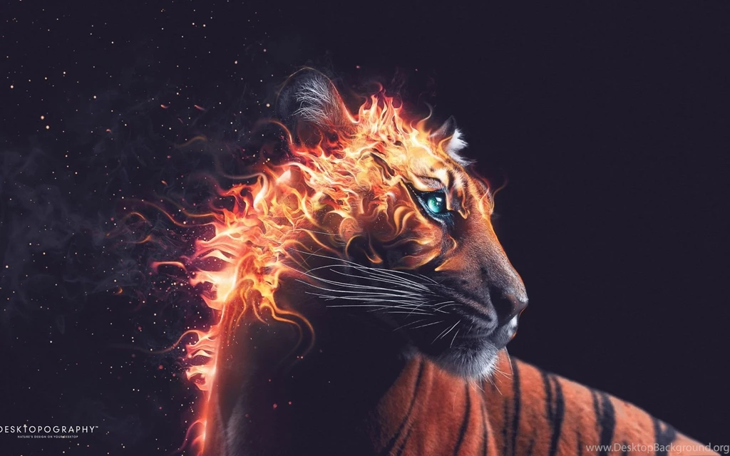 Tiger Fire Wallpapers