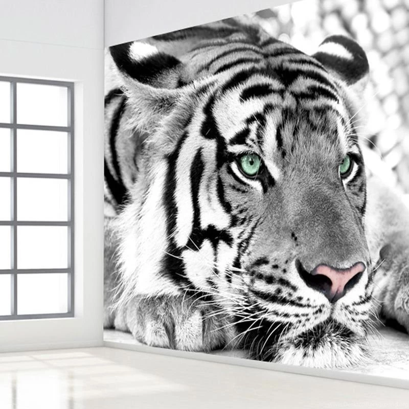 Online Buy Wholesale White Tiger Wallpapers From China White Tiger ...