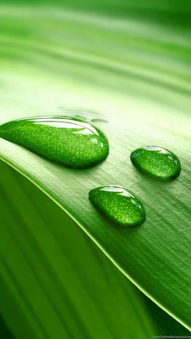 Top Iphone 5s Hd Background Images For Pinterest