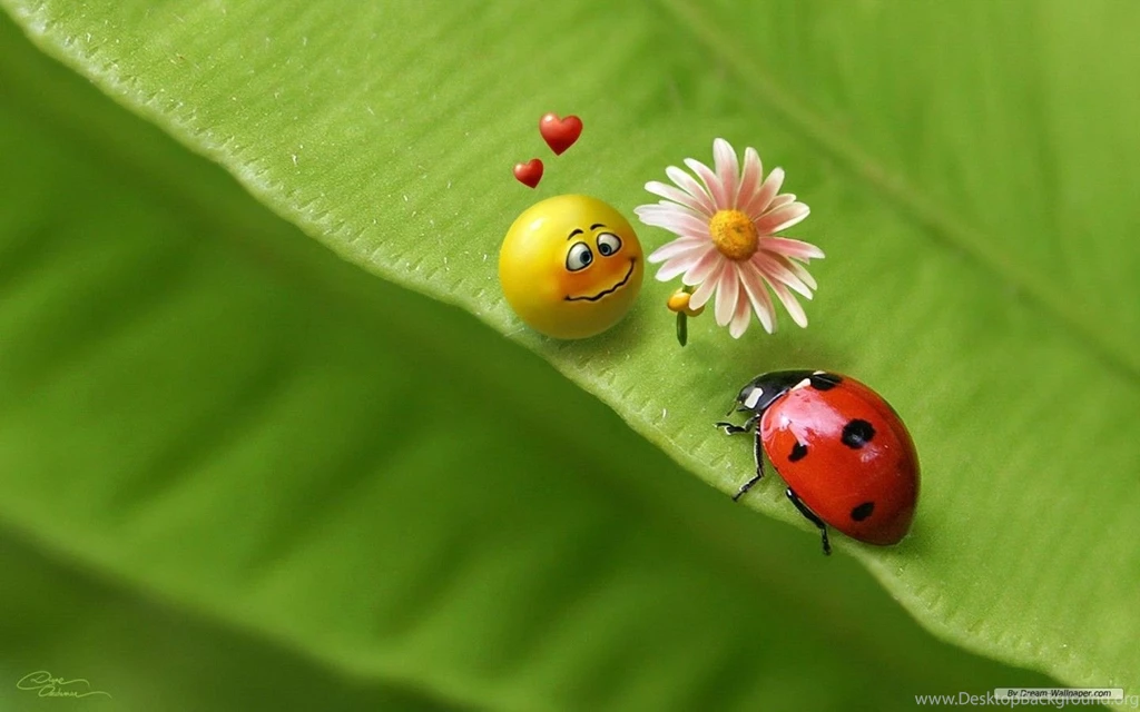 3D Free Wallpapers Desktop Backgrounds