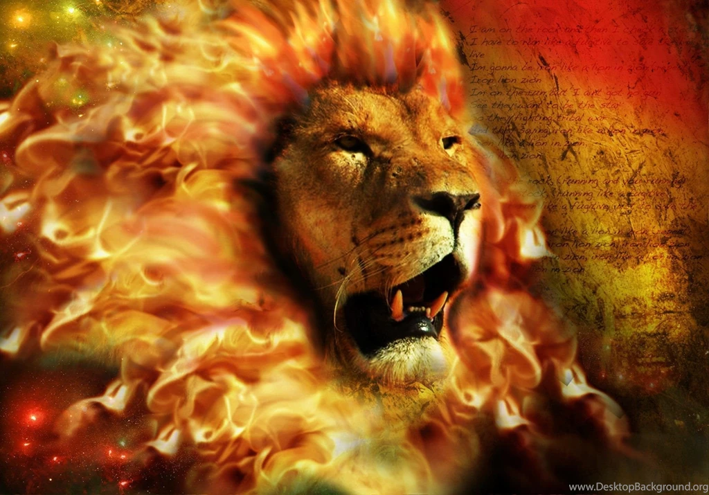 Angry Lion Wallpapers