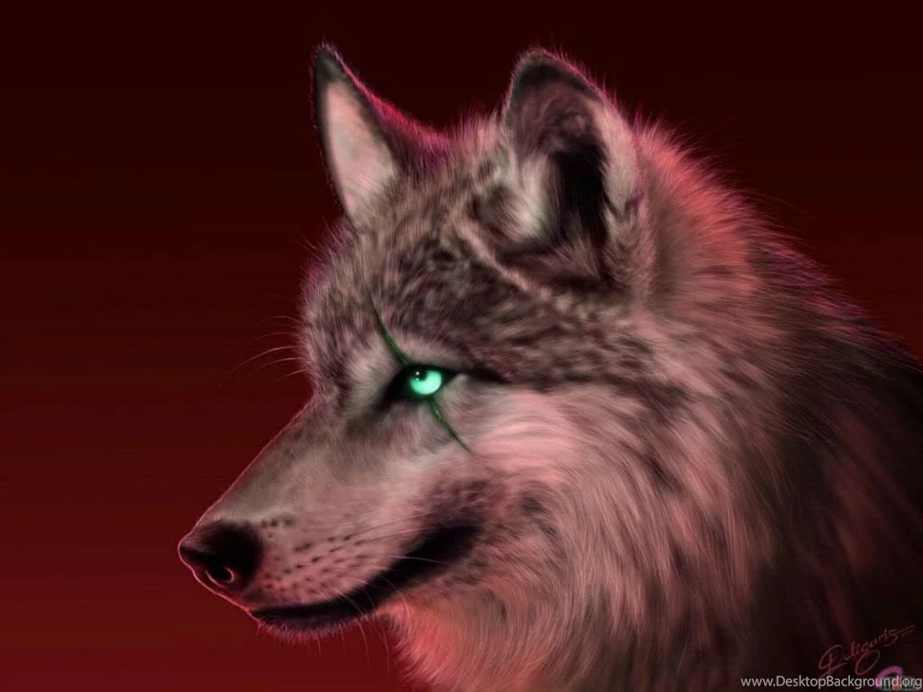 The Red Eyed Wolf Pictures, Images & Photos