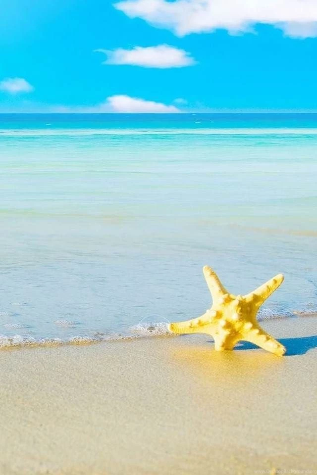 Starfish On Beach Desktop Backgrounds Wallpapers