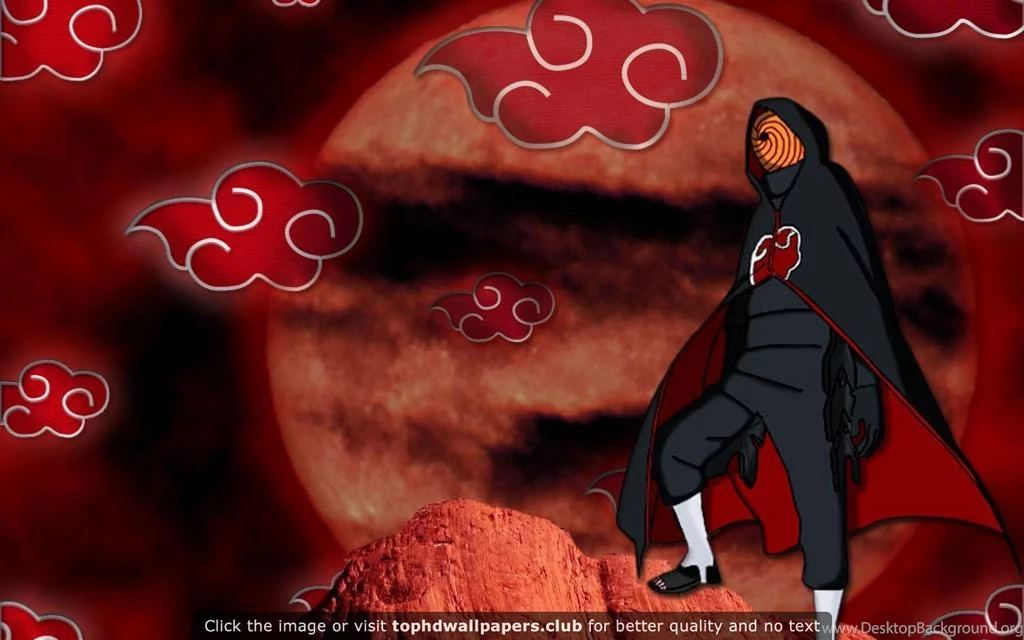 Best Tobi 4K Or HD Wallpapers For Your PC, Mac Or Mobile Device