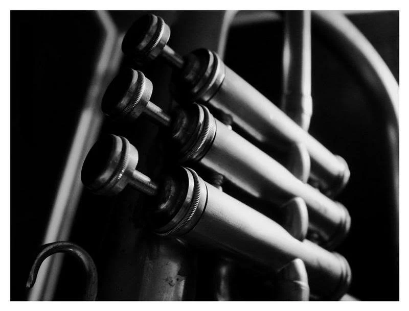 Top Trumpet Bucket Images For Pinterest