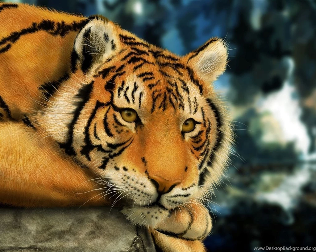 Thinking Tiger Wallpapers