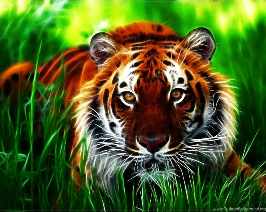National Geographics Tiger Wallpapers (
