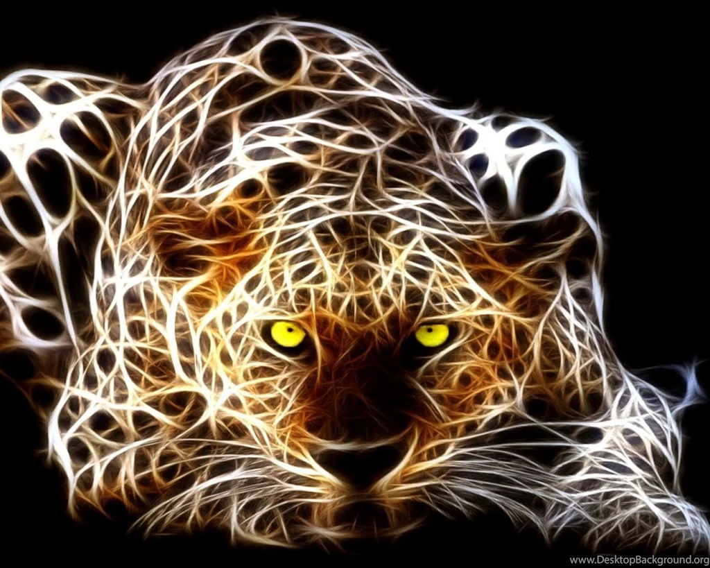 Tiger Wallpapers 1280x800 (