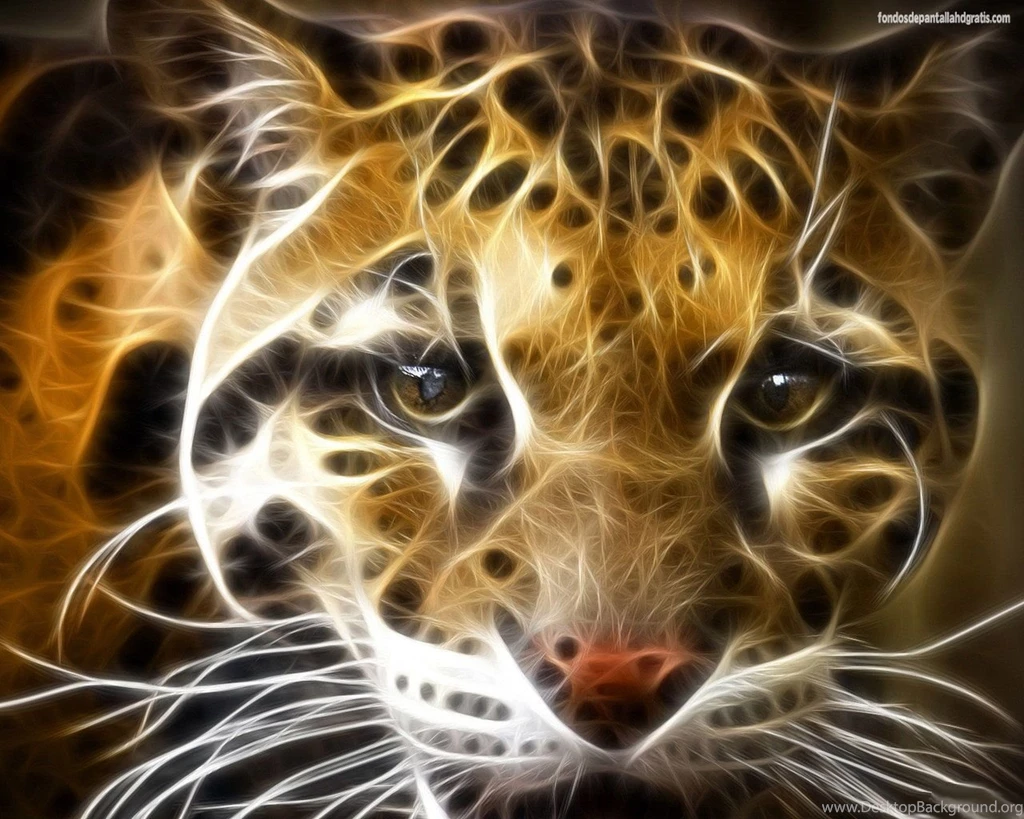 Top Wild Tiger Wallpaper Images For Pinterest