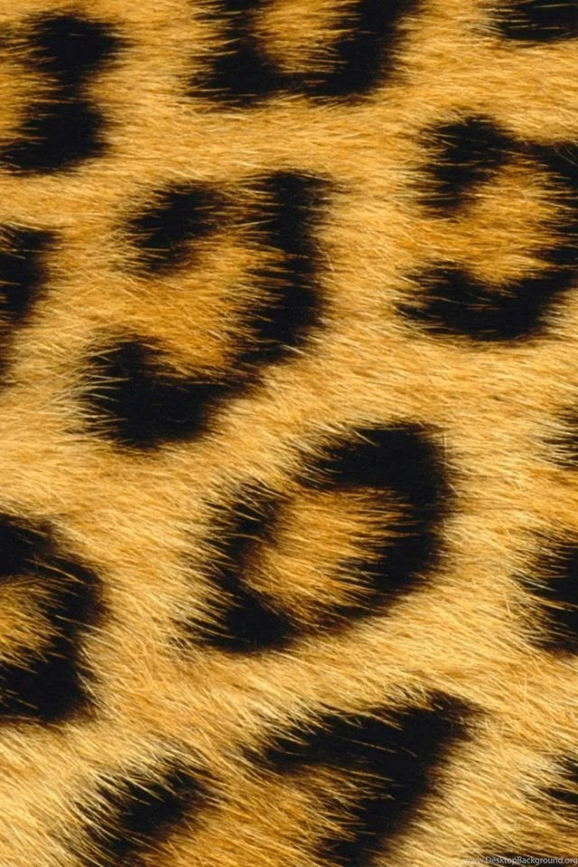 640x960 Leopard Skin Iphone 4 Wallpapers