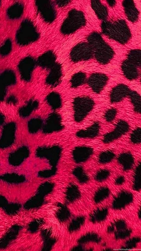 iPhone 5 Wallpapers