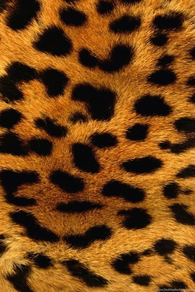 640x960 Leopard Fur Iphone 4 Wallpapers