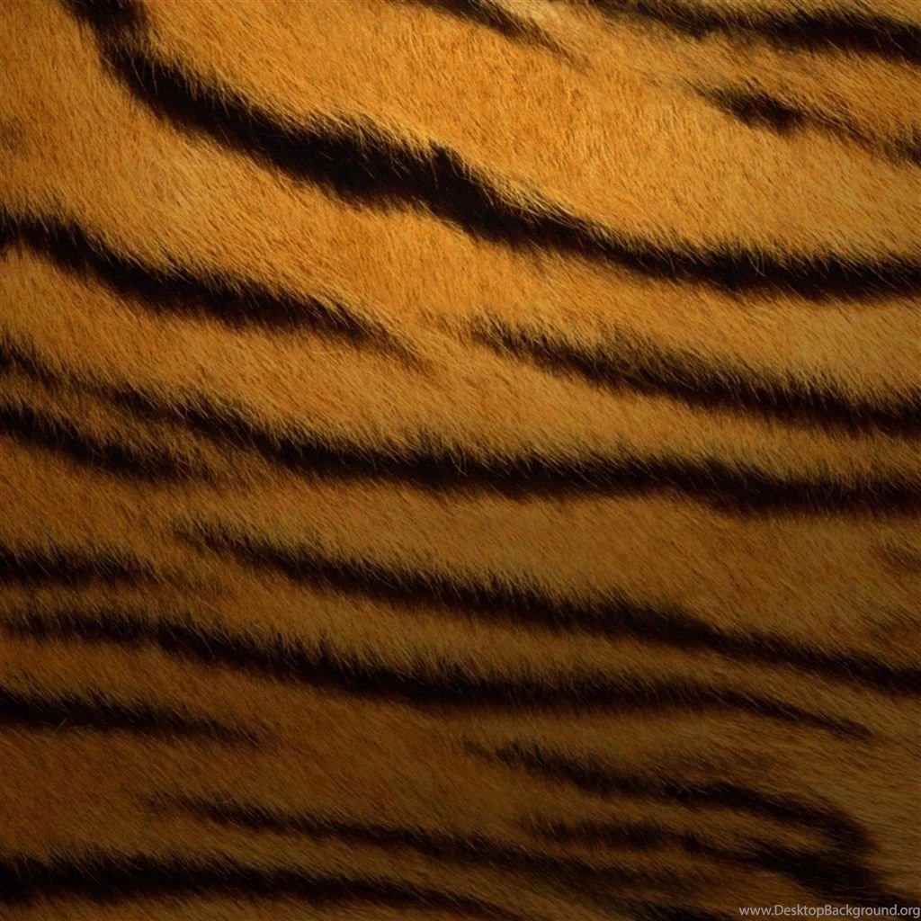 Abstract Leopard Texture Pattern iPad Air Wallpapers Download ...
