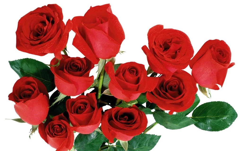 Best top desktop flowers wallpapers hd flowers wallpaper picture image background 03.jpg