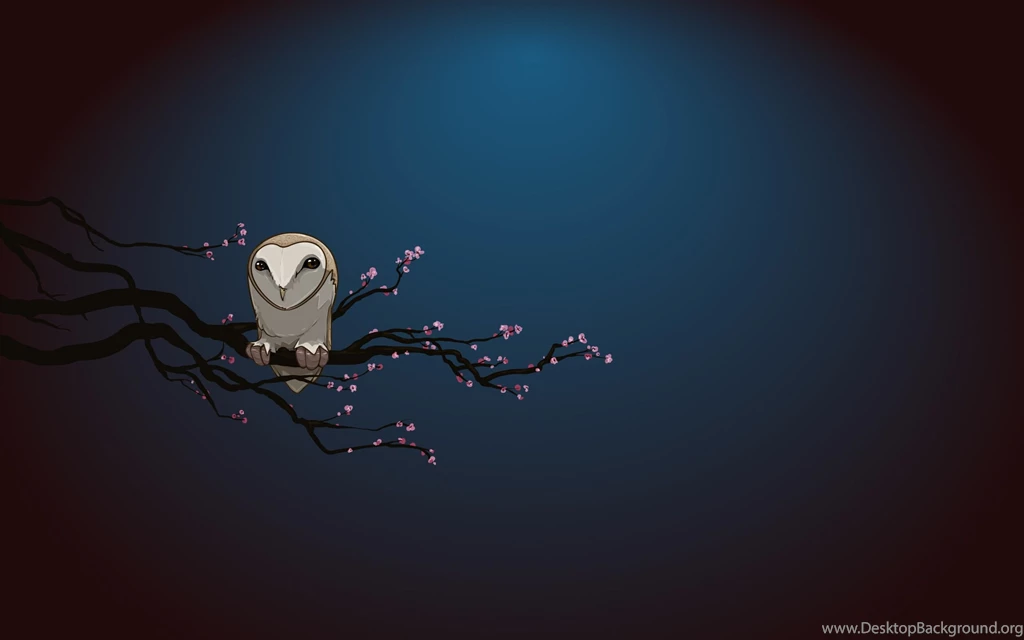The Drawn Owl Wallpapers And Images Wallpapers, Pictures, Photos