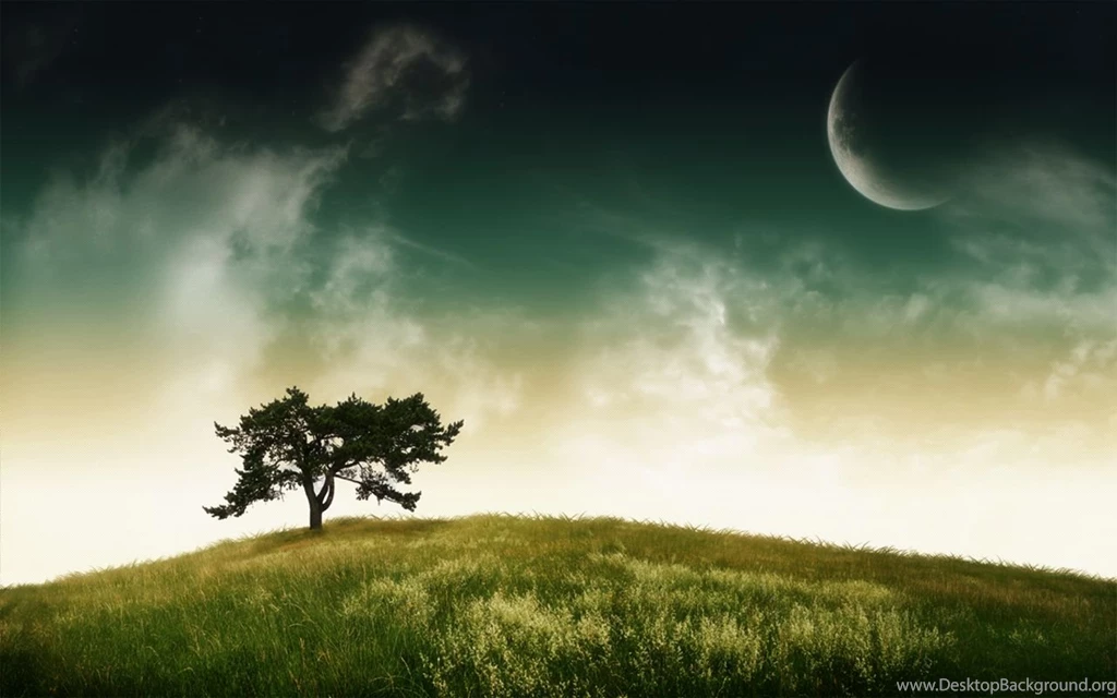 Full HD Wallpapers + Nature, Trees, Green
