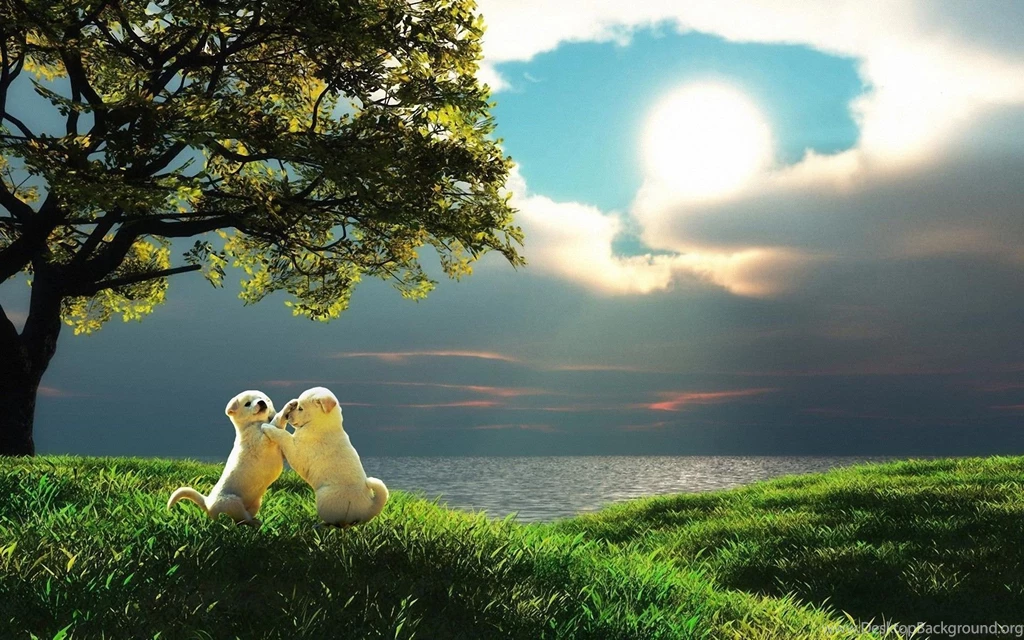 Download Wallpapers 1920x1200 Puppy, Couple, Sunset, Nature, Play ...