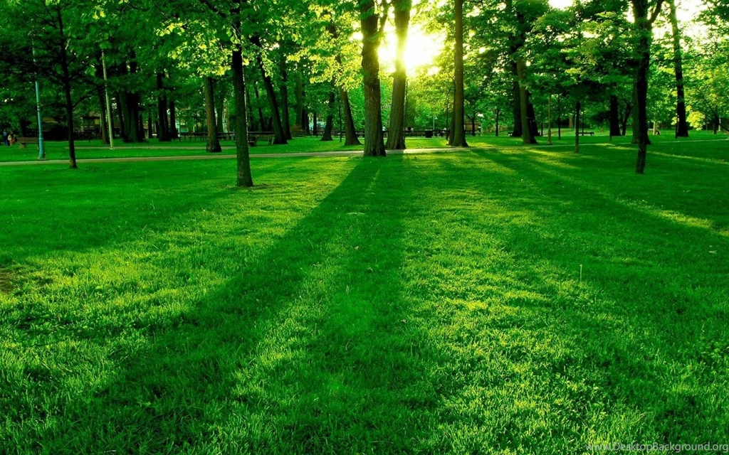 Natural Wallpapers Amazing Nature Composition   (