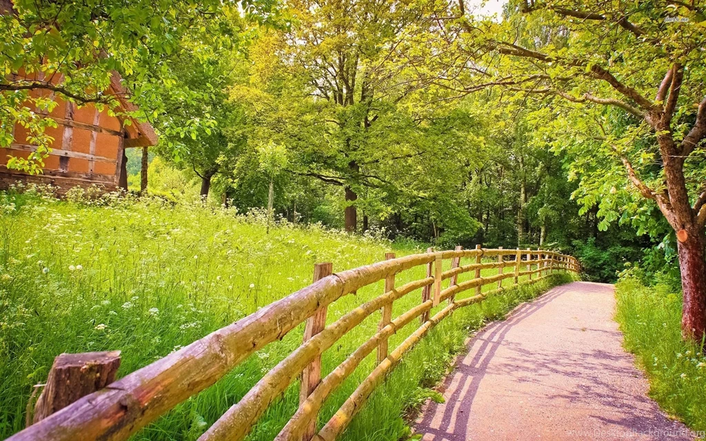 Top Green Nature Through A Images For Pinterest