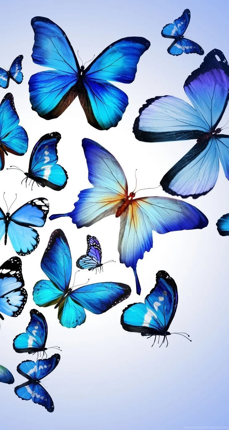 Butterfly iPhone 5s Wallpapers