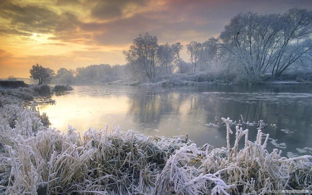 Top Nature Backgrounds Wallpapers