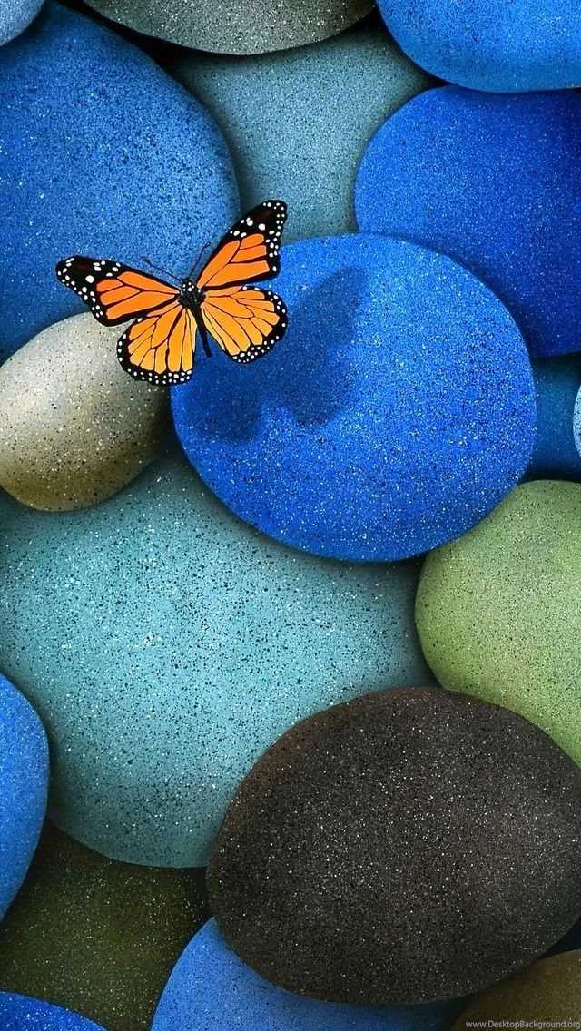 Butterfly iPhone 5s Wallpapers