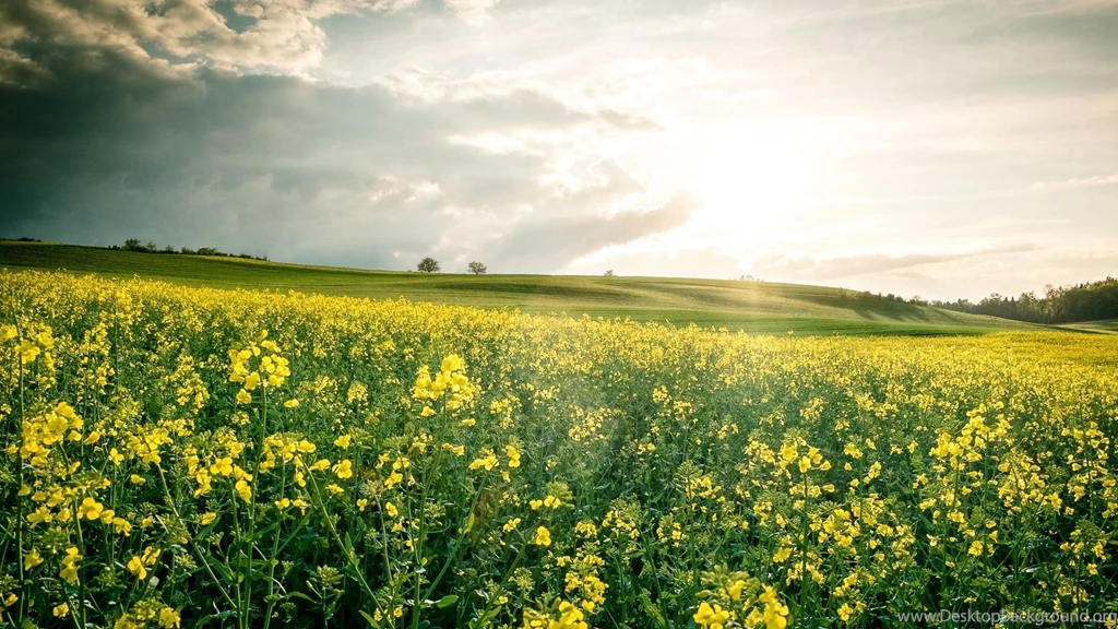 Landscape Wallpapers Archives Free Full Hd Wallpapers For 1080p ...