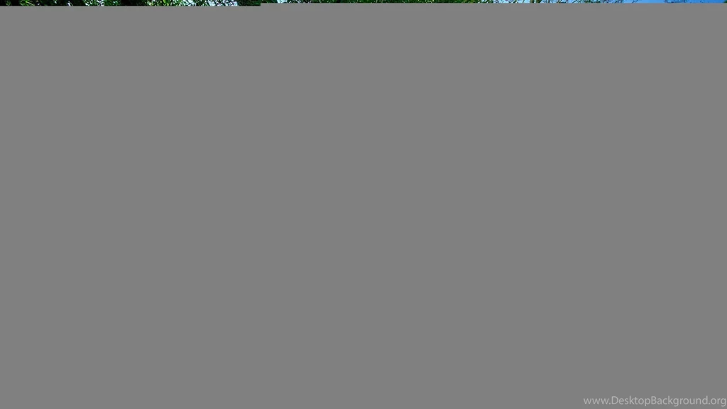 Nature Wallpapers Forest, Darkolivegreen, Cadetblue ...