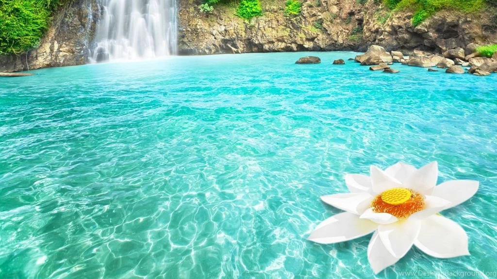 1366x768 Waterfall Lotus Dream Wallpapers