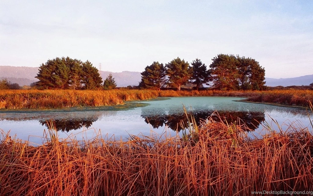 Download Wallpapers Hd For PC   Wallpapers HD Wide