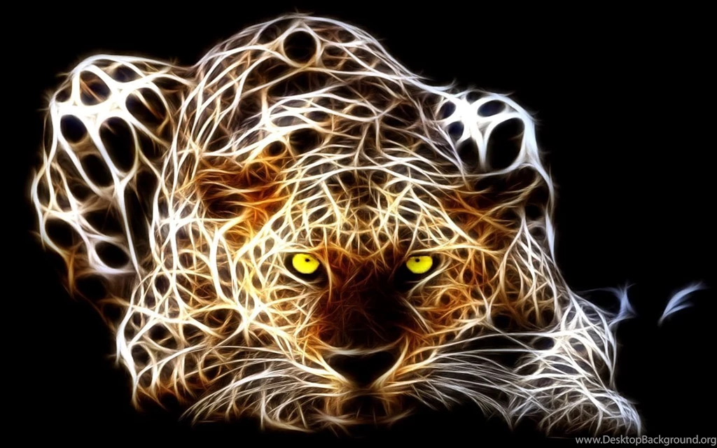 Tiger Wallpapers 1280x800