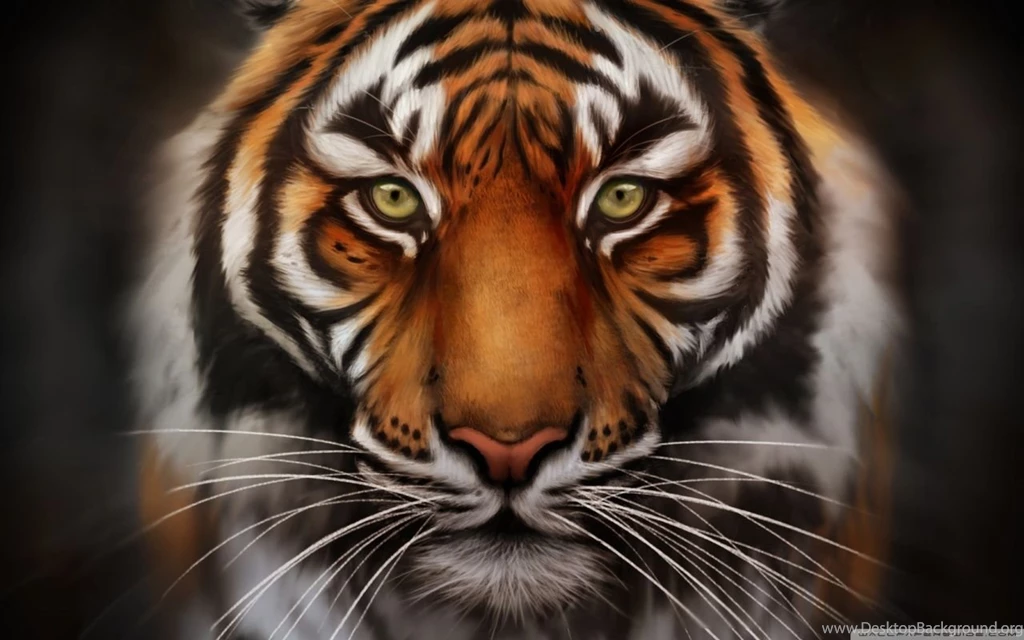 Save The Tiger HD Desktop Wallpapers : Widescreen : High Definition ...