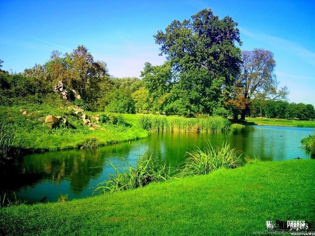 Top Green Nature Wallpapers Hd Images For Pinterest