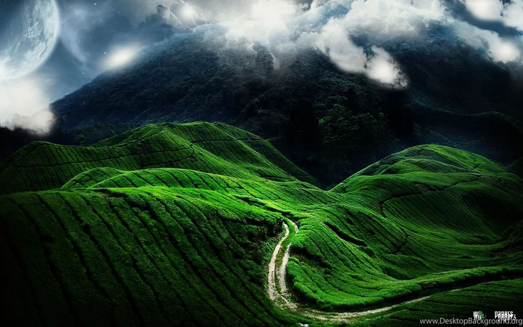 Top Green Nature Wallpapers Hd Images For Pinterest