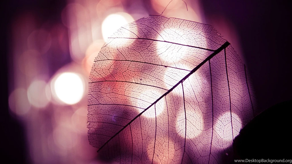 HD Wallpapers Source Page 404 Of 489 100% Quality HD Desktop ...