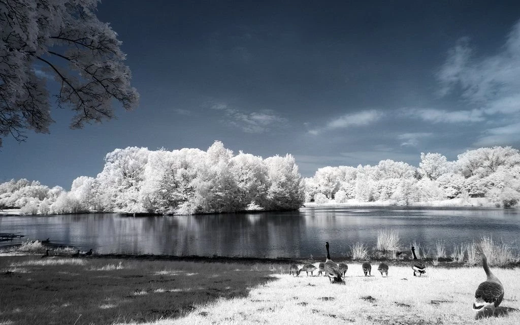 The Blue Wallpapers 2560 By MyINQI On DeviantArt